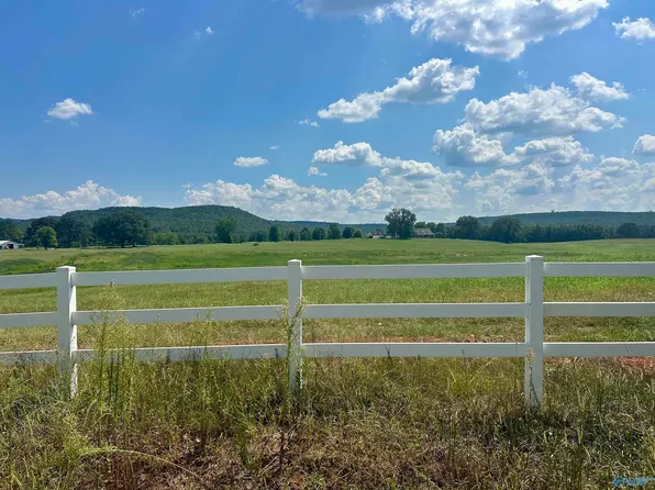 TRACT Old Memphis Pike #D, Tuscumbia, AL 35674