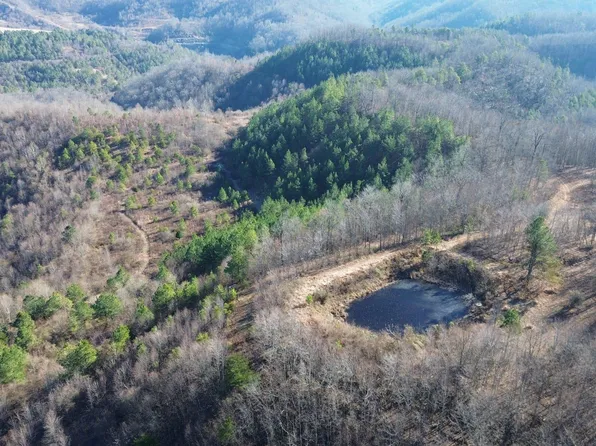 150 Sycamore Crk, Van Lear, KY 41265