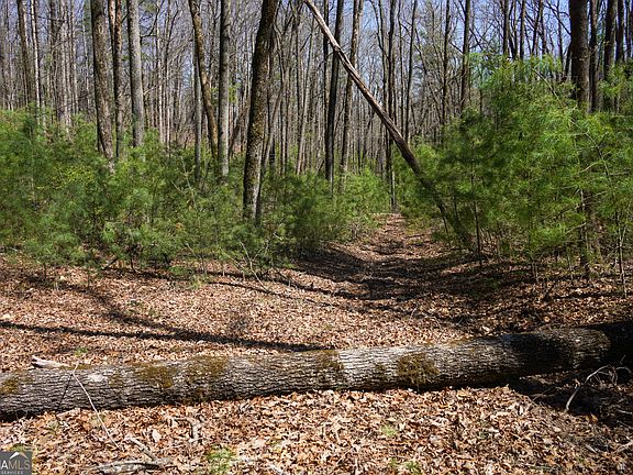 5th image of 0 Hale Ridge Rd
