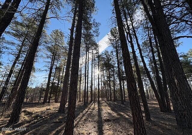 1st image of 2360 Narrow Leaf Ln