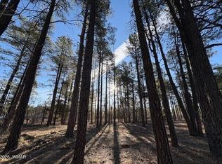 2360 Narrow Leaf Ln, Show Low, AZ 85901