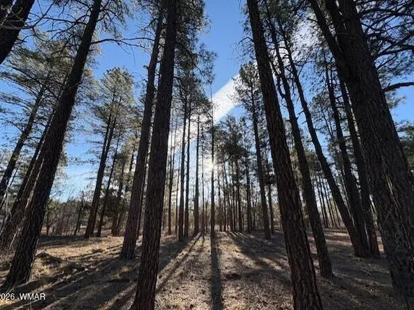 2360 Narrow Leaf Ln, Show Low, AZ 85901