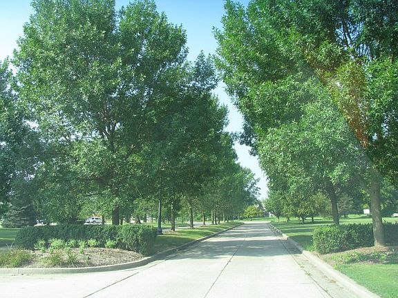 Neighborhood entrance