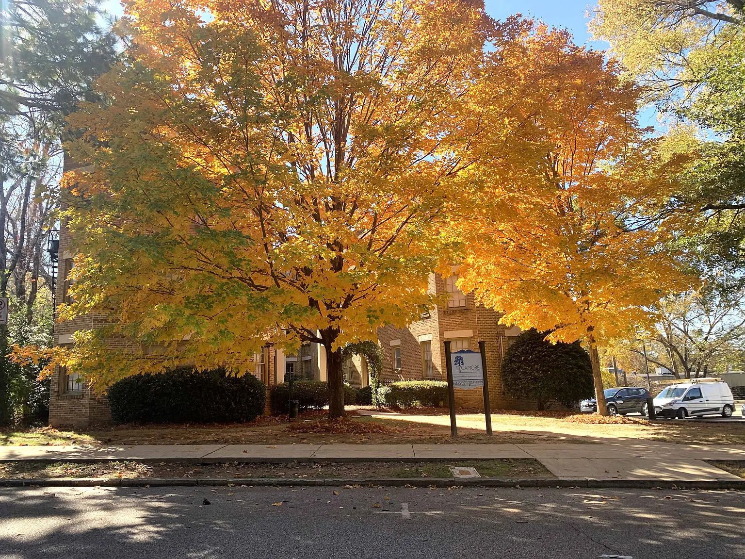 Sycamore Manor Apartments — Photo 2