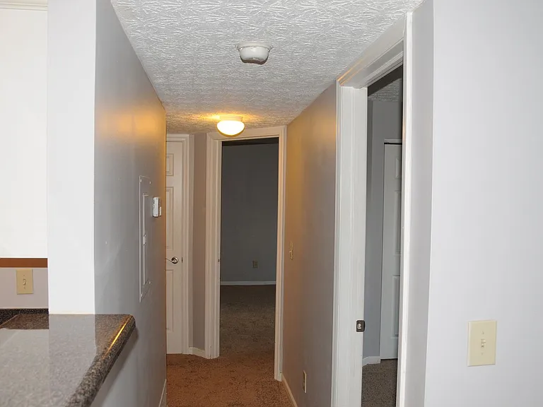 5395 Cypress Chase — Photo 8