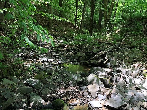 2nd image of Dingman Hill Rd Lot 24