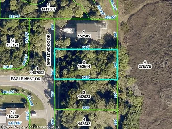 5082 MAPLEWOOD DRIVE LOT 2, HERNANDO BEACH, FL 34607