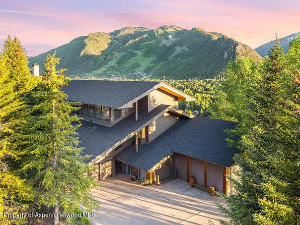 46 Ridge Pl, Aspen, CO 81611