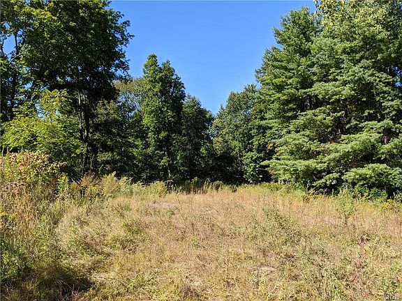 3rd image of 7667 Van Buren Rd