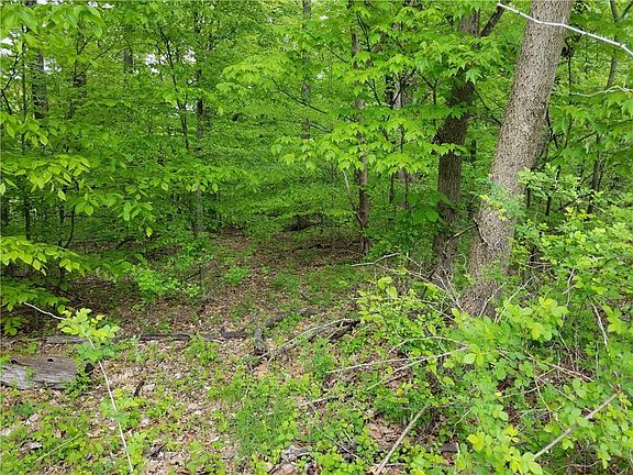 5th image of 5888 W Nature Hills Ct