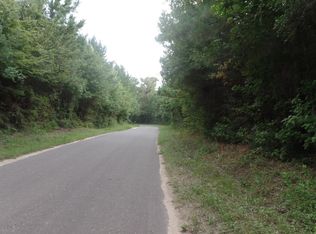 County Road 20, Jasper, TX 75951