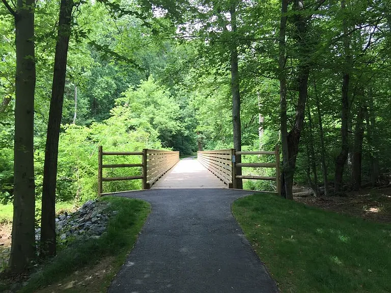Saddle Dr — Photo 3