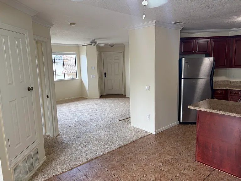 Kitchen and entrance/living room