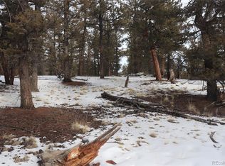 1487 Bellows Rd #1462, Hartsel, CO 80449