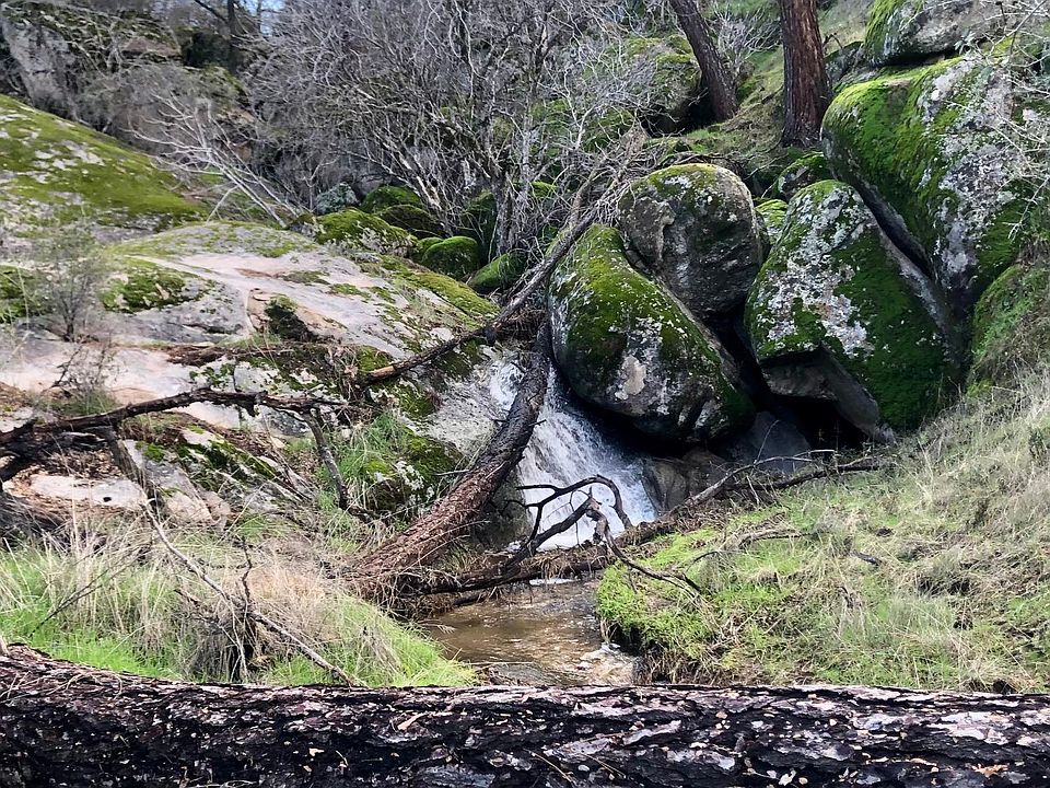 1st image of 8 Long Hollow Dr