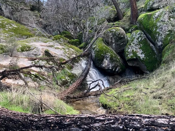 8 Long Hollow Dr, Coarsegold, CA 93614