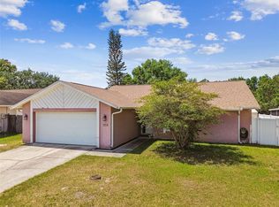 12710 Trucious Pl, Tampa, FL 33625