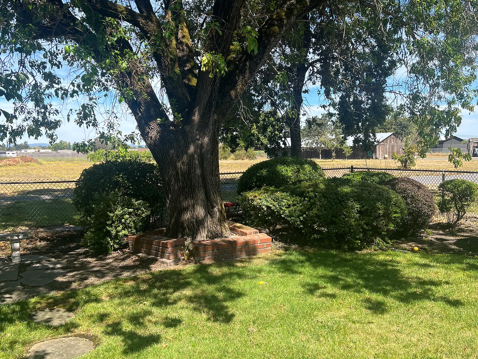 3 bed, 1.5 bath, 1562 sqft, $3,950 — Photo 3