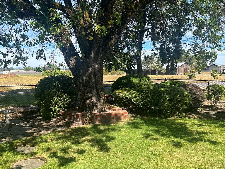 3111 Stony Point Rd — Photo 3