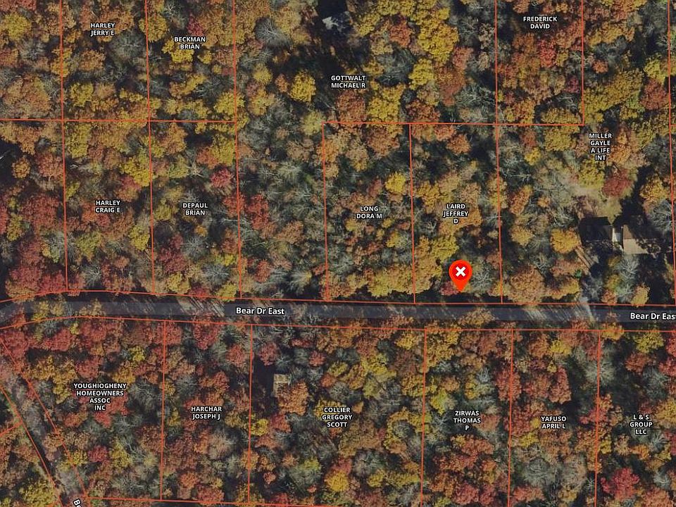 2nd image of 7 Bear Dr E