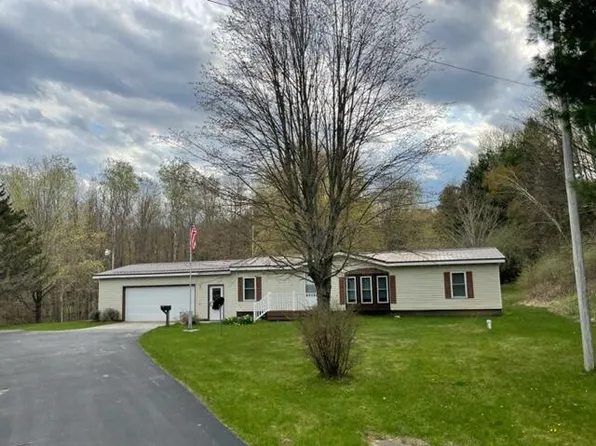 8917 E 64th St, Chase, MI 49623