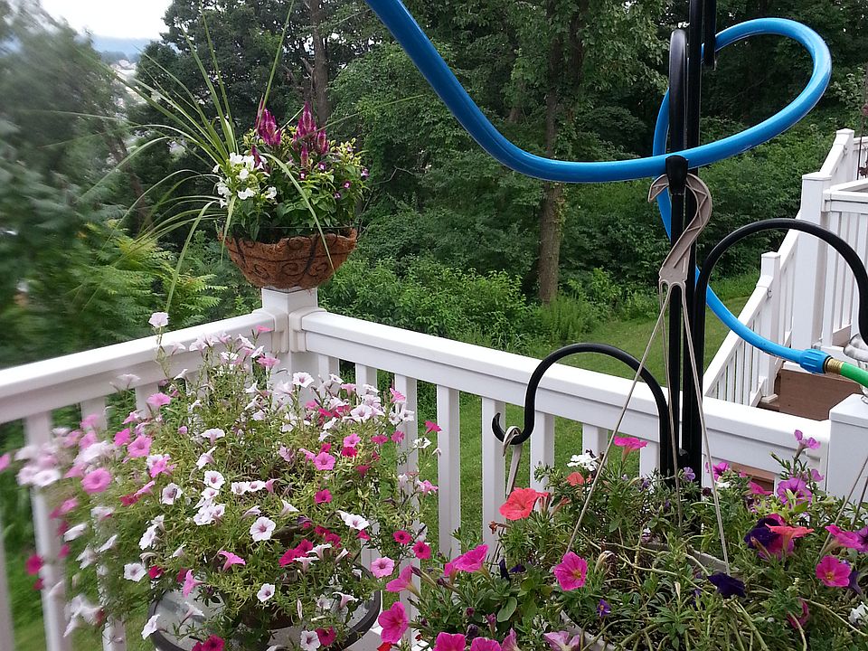 Rear deck facing green belt