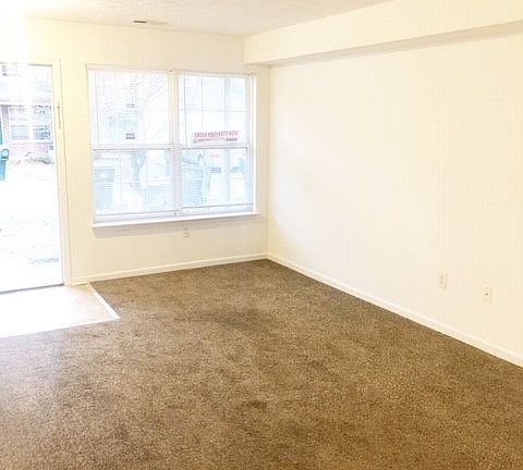 2912CarsonFamilyroom_01092019