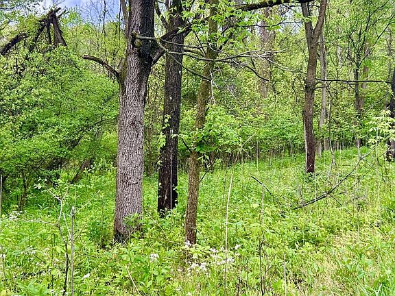 5th image of Sullivan Rd