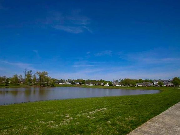 Pond