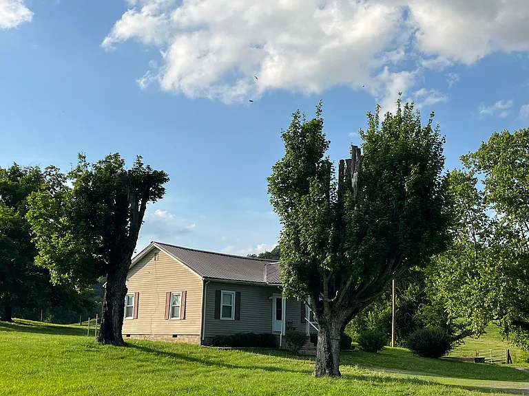 1135 McBrides Branch Rd — Photo 4