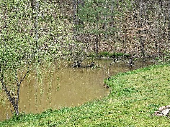 Pond view from kitchen