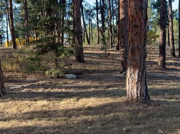 Rancho Escondido Lot 23C, Weston, CO 81091