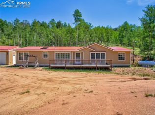 64 Grey Eagle Way, Florissant, CO 80816