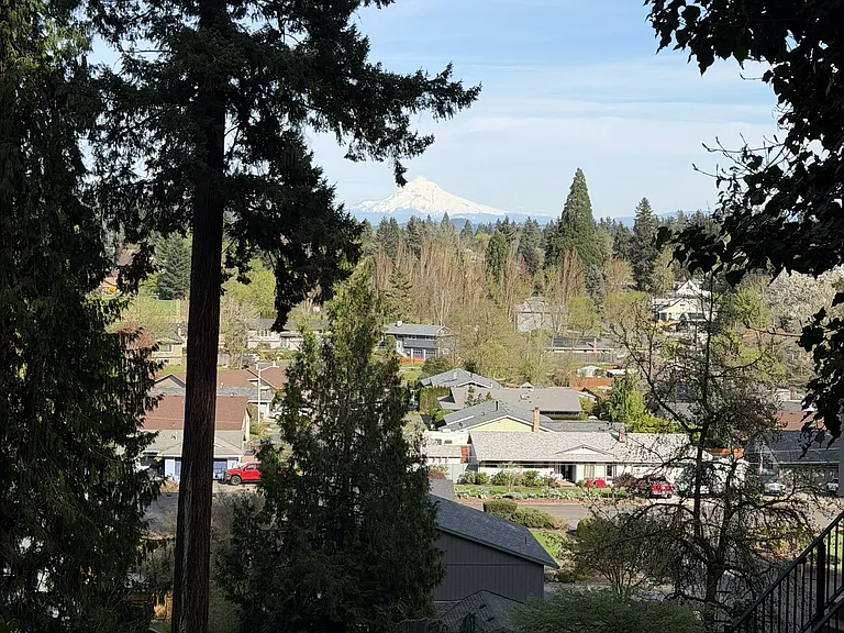 view from back patio