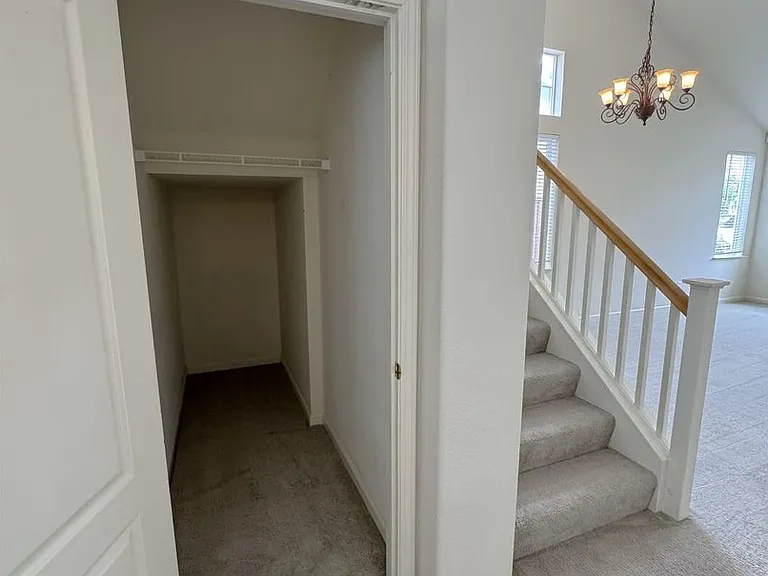 31 Cymbidium Cir — Photo 27