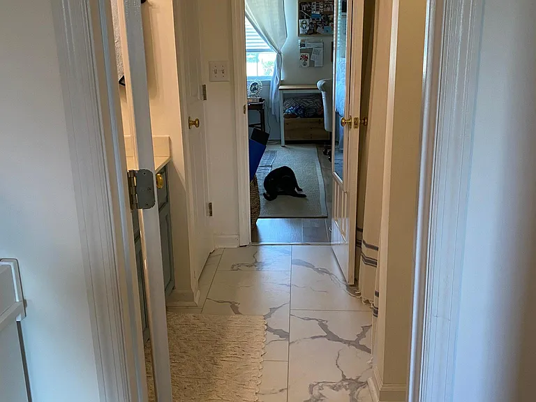 4405 Kings Lake Ct — Photo 12