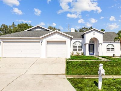 709 Tuscanny St, Brandon, FL, 33511