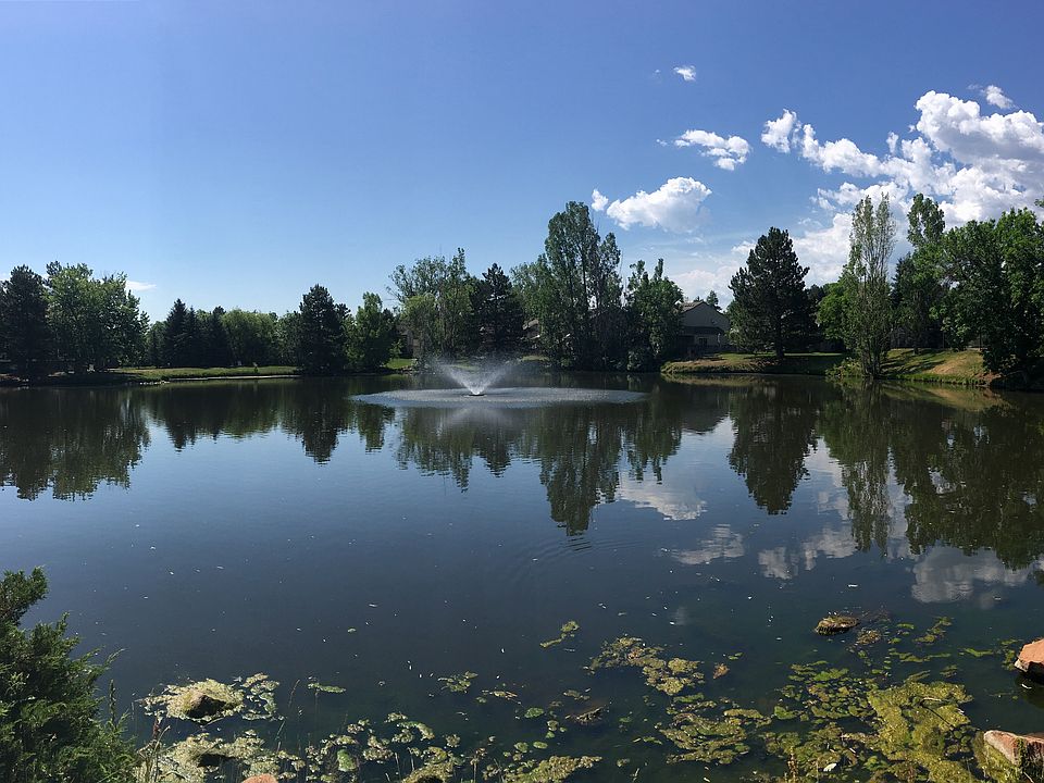 Pond at Tantra Park