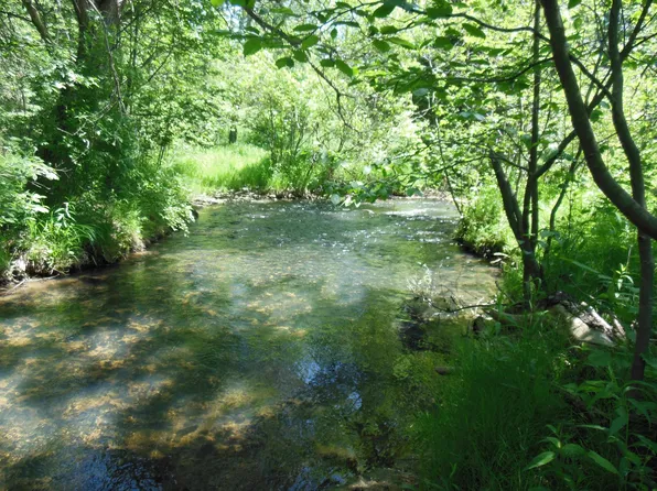 Stockwell Rd, Gladwin, MI 48624