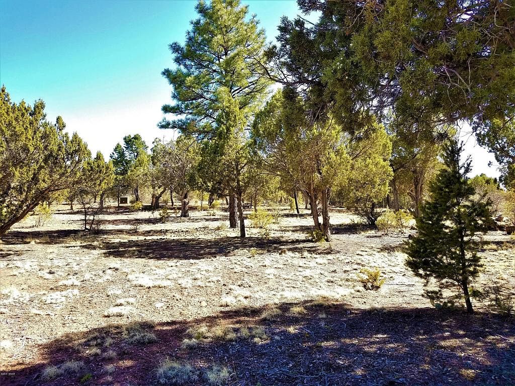 1741 Tosca Pl, Pinedale, AZ 85934 Zillow