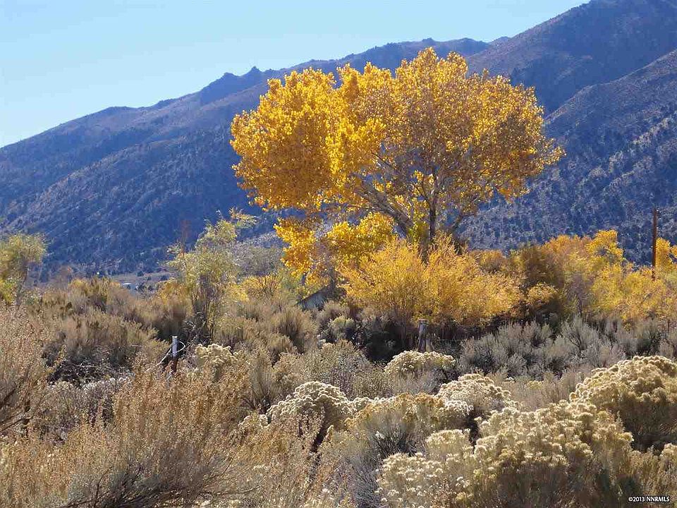 70 Amanda Ln Wellington, NV Zillow