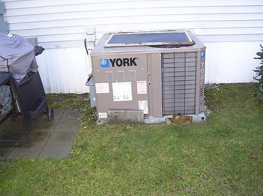 3rd image of 47 Mountain Ash Dr