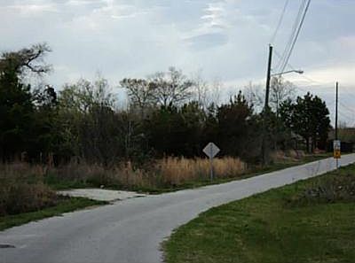 5th image of 113 Dogwood Dr