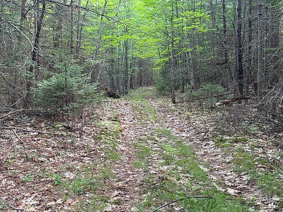 3rd image of Map67Lot5 Morrill Road