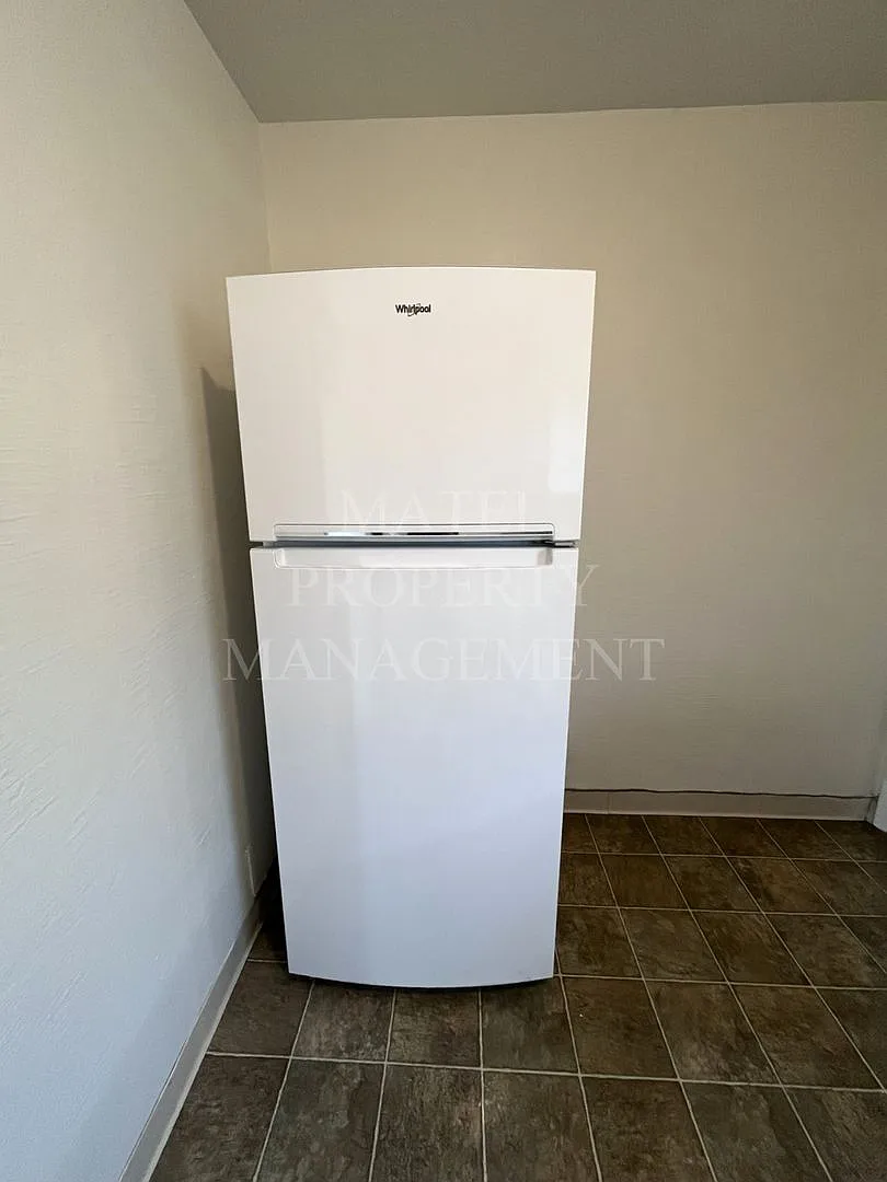 FIF225 — Photo 4