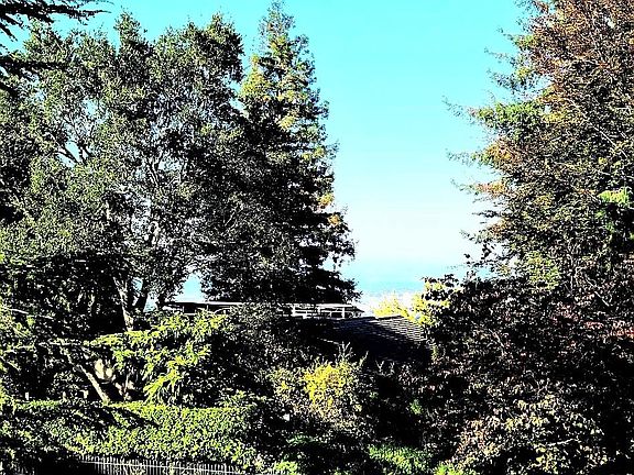 Front filtered bay views