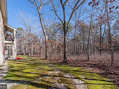133 Liberty Ct #133 — Photo 13