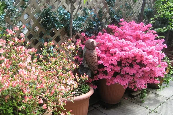 Sold by Corcoran | media 19