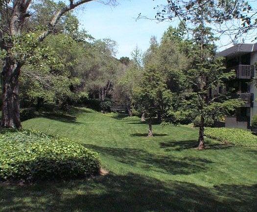 5th image of 8233 Shelter Creek Ln #8233