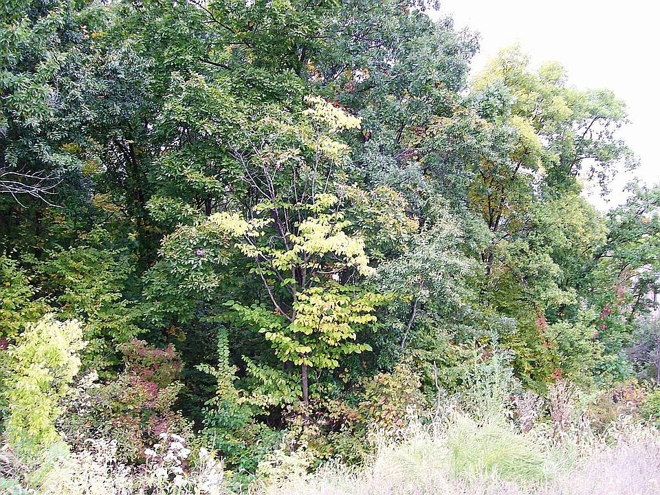 Walk-out Lot Backs to Mature Trees